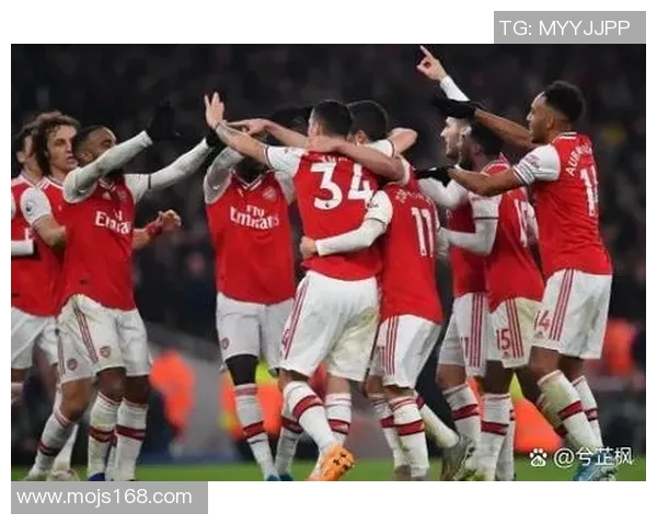 小保加与布拉希尔的巅峰对决谁能笑到最后揭晓战斗真相