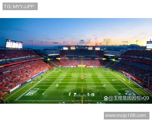 足球明星迪福精彩瞬间全景展示及个人魅力图片合集